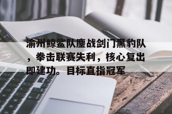 渝州鲸鲨队鏖战剑门黑豹队，拳击联赛失利，核心复出即建功。目标直指冠军(新疆拳击vs河南拳击)